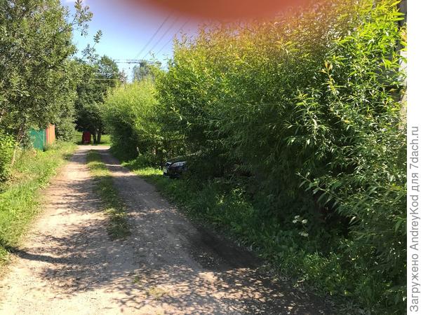 Помогите перепланировать участок - ответы экспертов () Помогите перепланировать участок - ответы экспертов