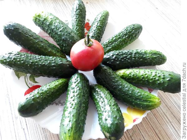 Аппетитные огурчики Кураж