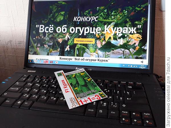 Поищу Кураж  в интернете ,на сайте 7 дач ...