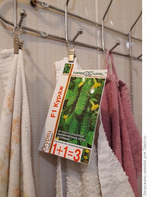 Кто видел мой Кураж ?