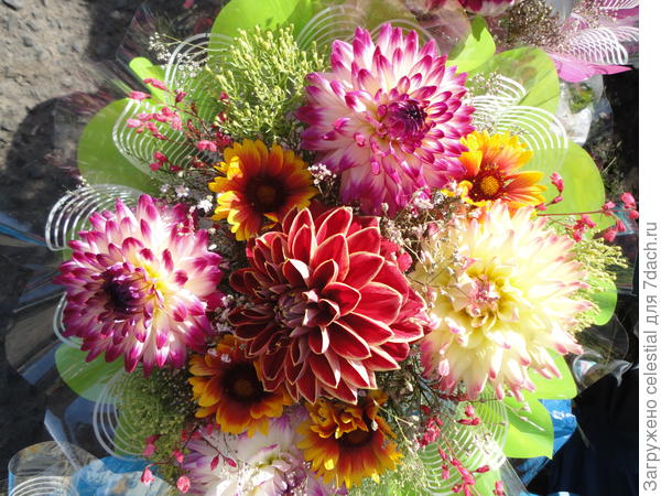 Красота ,да и только !