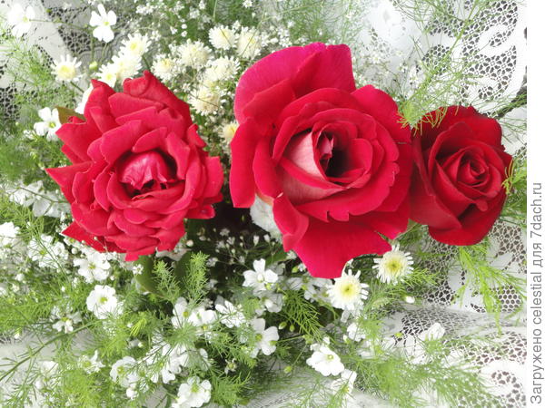 Букет учителю