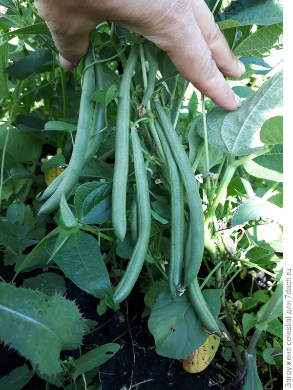 1 из любимых