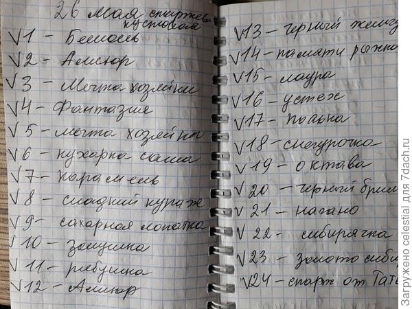 Записи сортов фасоли в блокноте