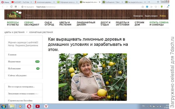 мошеннический сайт