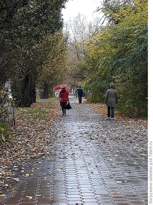 На улице сыро и дождик...с 14 октября.