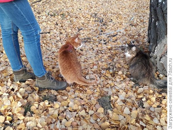 Всегда рядом