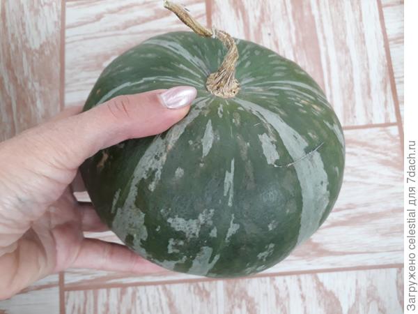 Не знаю как сорт называется , поделилась знакомая.