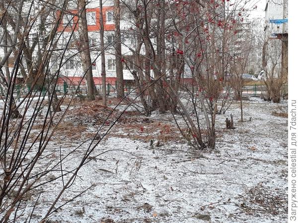 18 ноября 2019 год