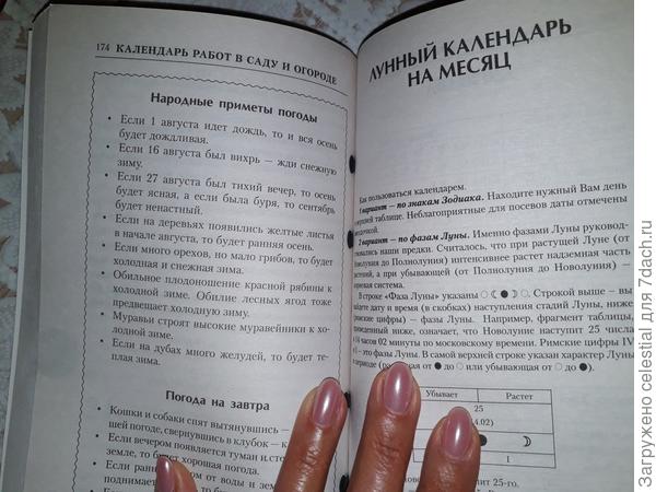 Интересные