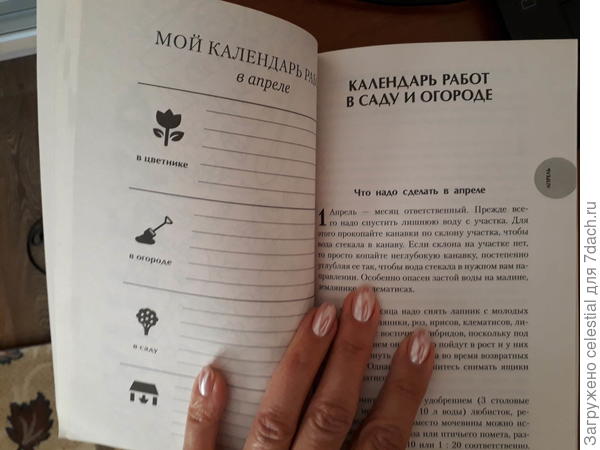 Страничка