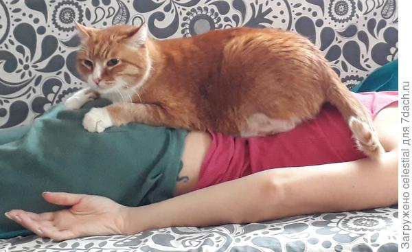 Котомассаж