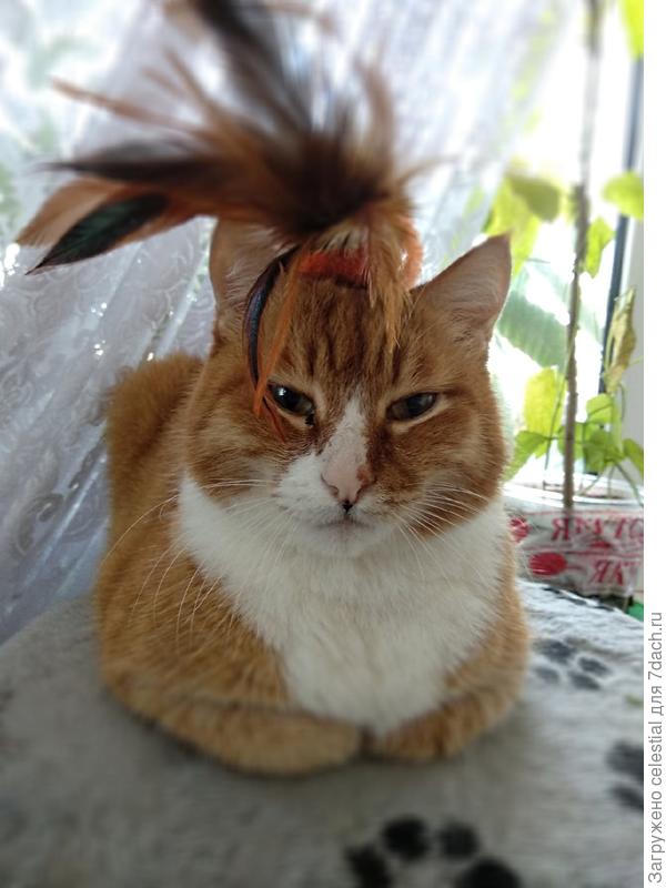 Игра в Индейца