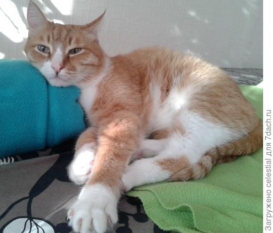 Если голова устала ,то есть варианты ..