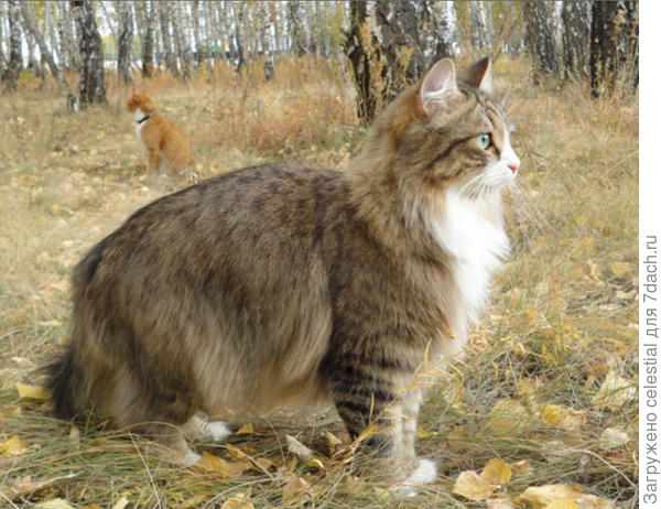 Вот такие мы выросли, в этом году нам 11 лет