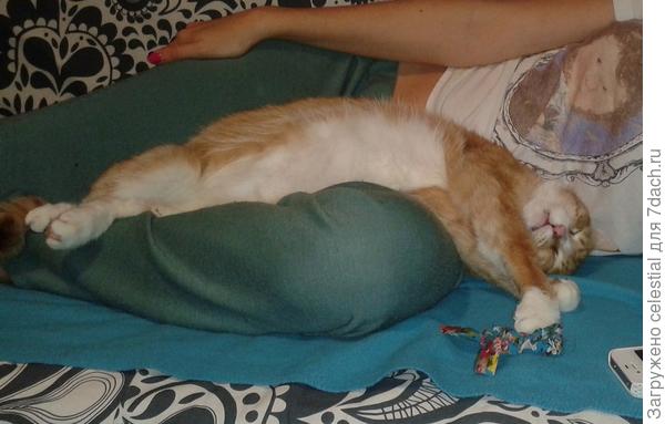 Поспать на коленках, если  даже неудобно