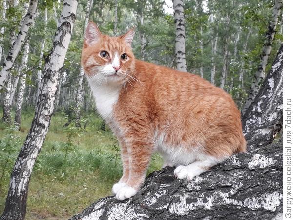 Это Ричи , 24 апреля нам будет 16 лет