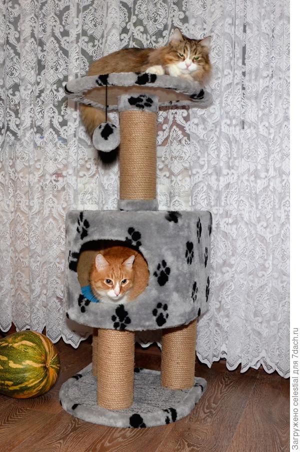 Замок Безбельников