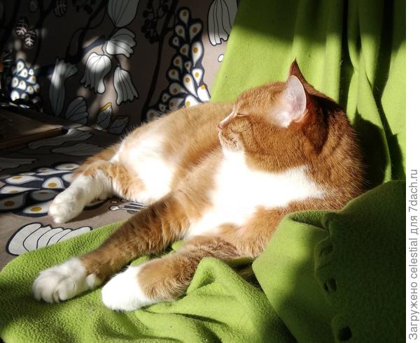 Принять солнечные ванны