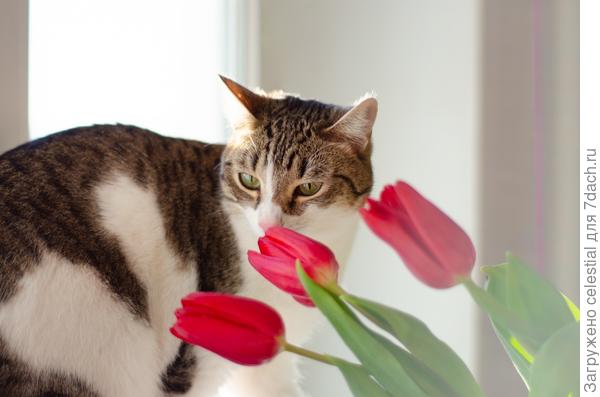 Знакомьтесь, это Буся !