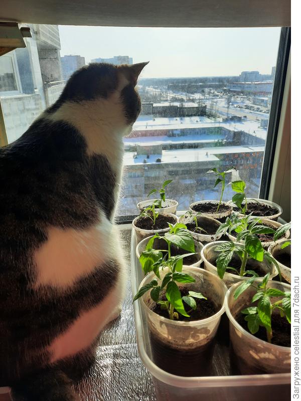 9 марта , все ждём тепла....