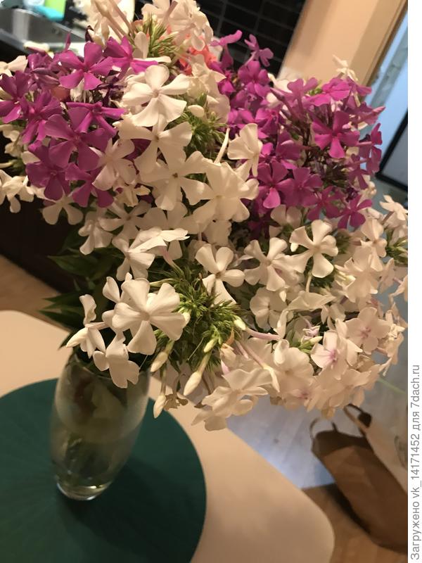 Подскажите, пожалуйста название