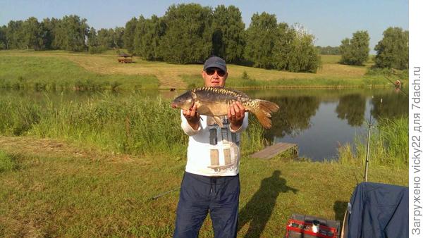 Вот этого зеркального карпа, пойманного мужем, запекала также )))