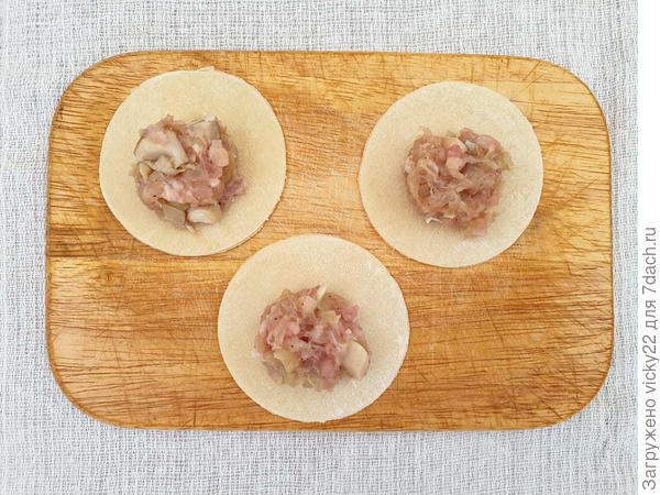 Пельмени с курицей и белыми грибами - пошаговый рецепт приготовления с фото () Пельмени с курицей и белыми грибами - пошаговый рецепт приготовления с фото