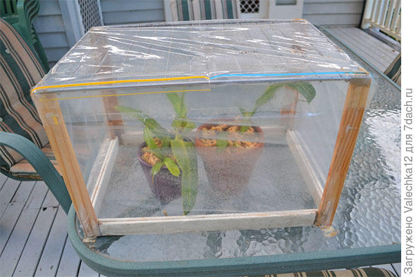 пример мини-теплицы