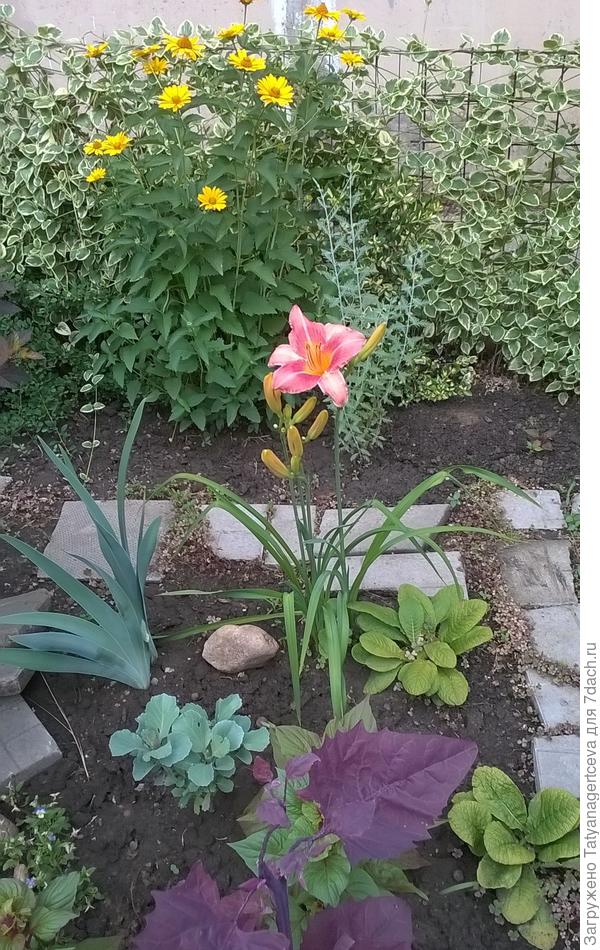 Это она же в начале лета