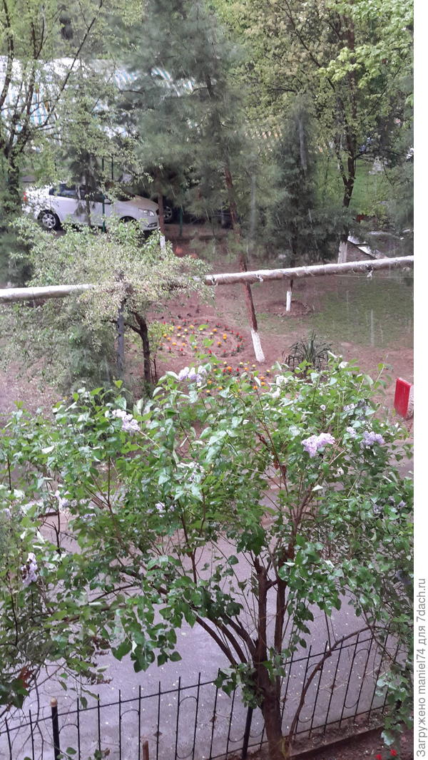 У нас в Ташкенте тоже похолодало. Сейчас 1-3 градуса тепла:8: и дождь,переходящий в снег и обратно.