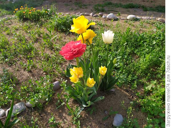 Так было два дня назад.