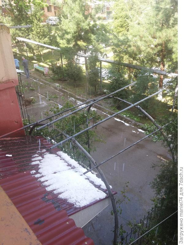 Днем почти все растаяло, но много деревьев поломало. Сирень у соседнего подъезда вырвало с корнями.