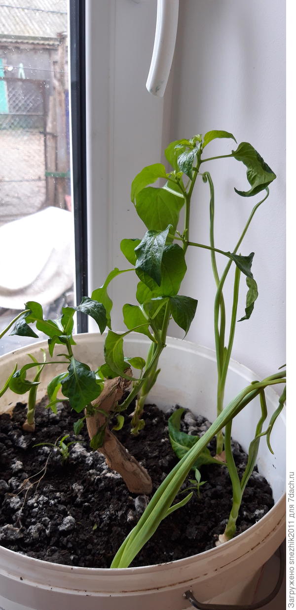 Мы сейчас такие))₽