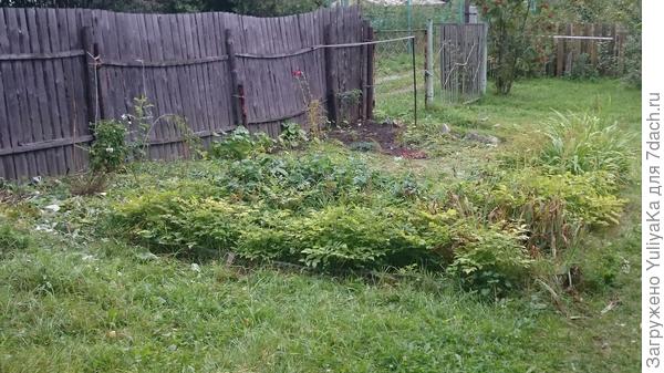 вид на цветник из окна дома