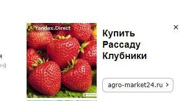 об этом магазине