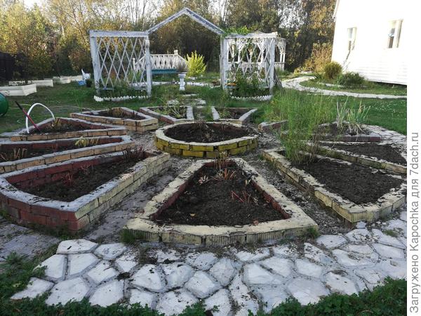 В одной половине посажены пионы, а в другой зелень.