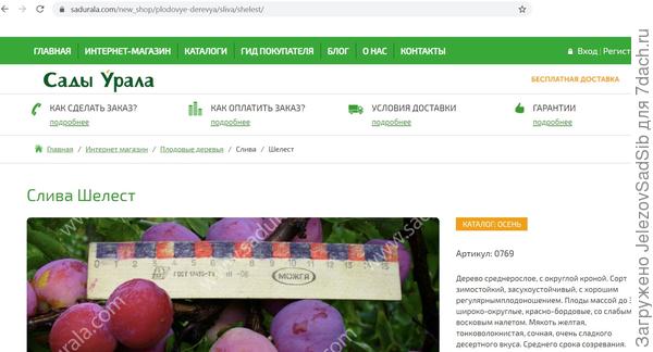 Моя фирменная линейка