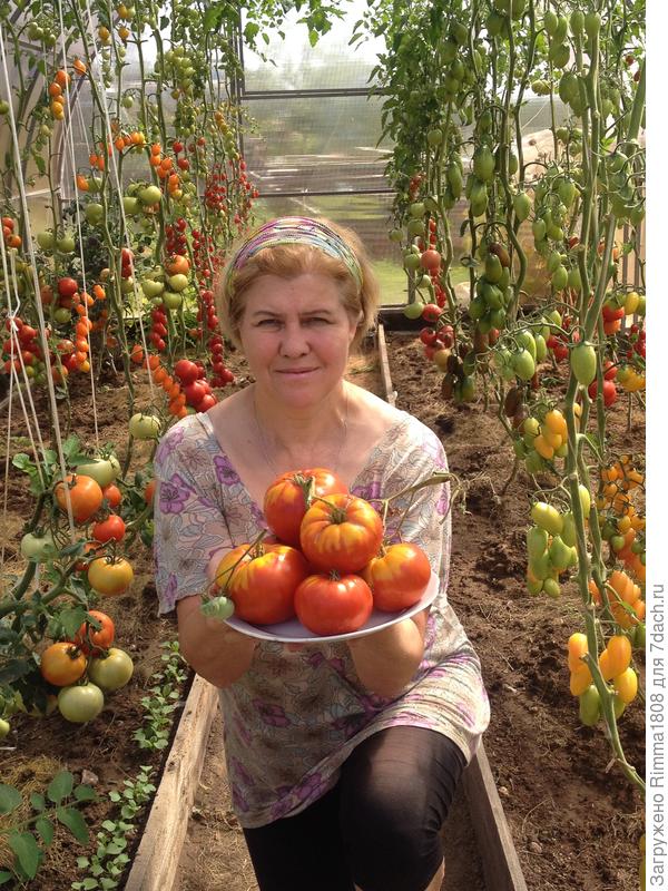 ВЕЛИКОЛЕПНЫЙ МАЛЬЧИК