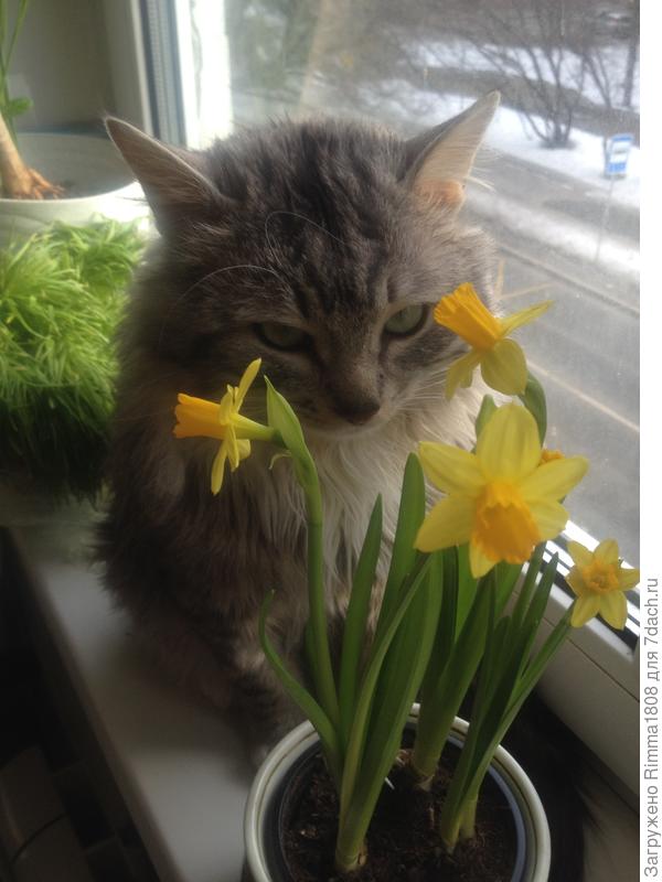 ВСЕХ - с Праздником !!!