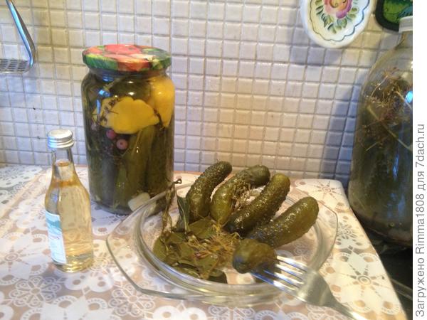 С Днем Рожденья !