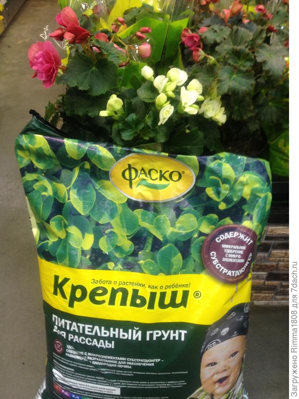 Наверное, это знак свыше!