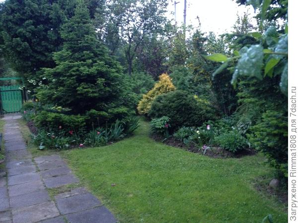 После стрижки !