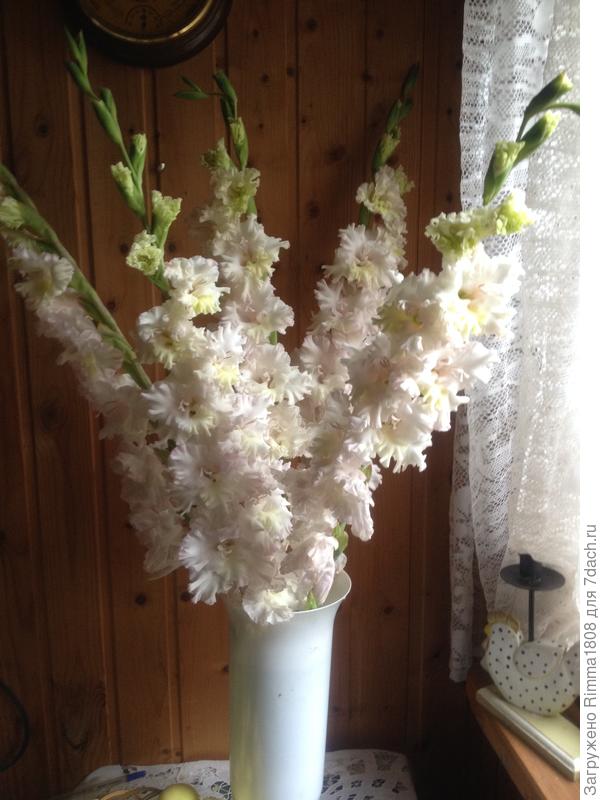 &amp;quot;Роса в изумруде &amp;quot;