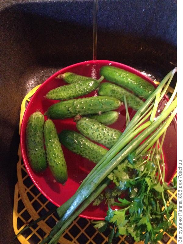 Тщательно промываем