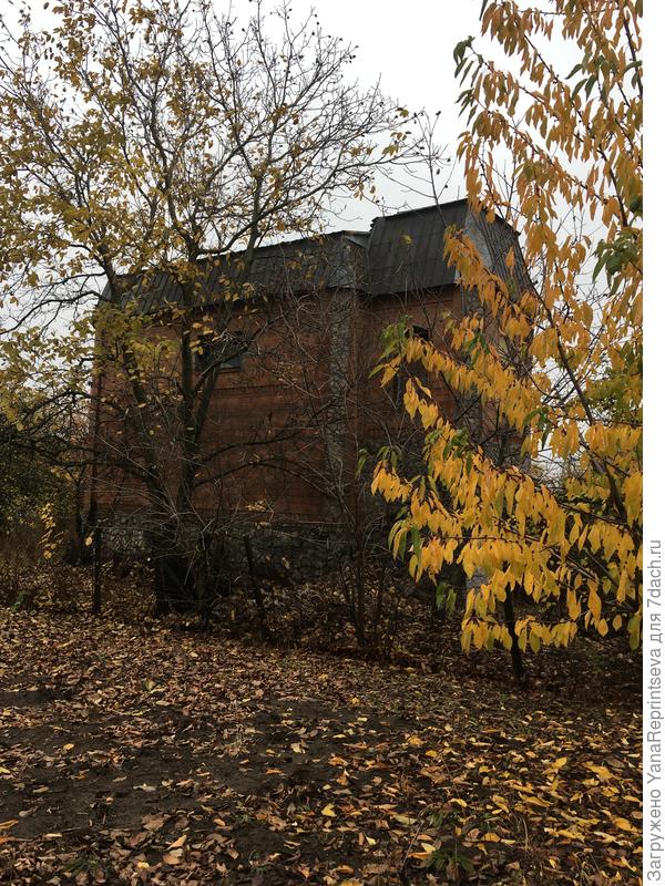Тыльная часть дома