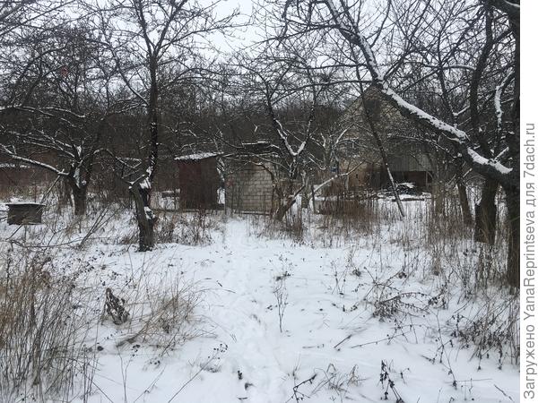 Боковая, неприглядная часть сада. Там проход на второй участок.