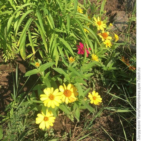 компания в сборе