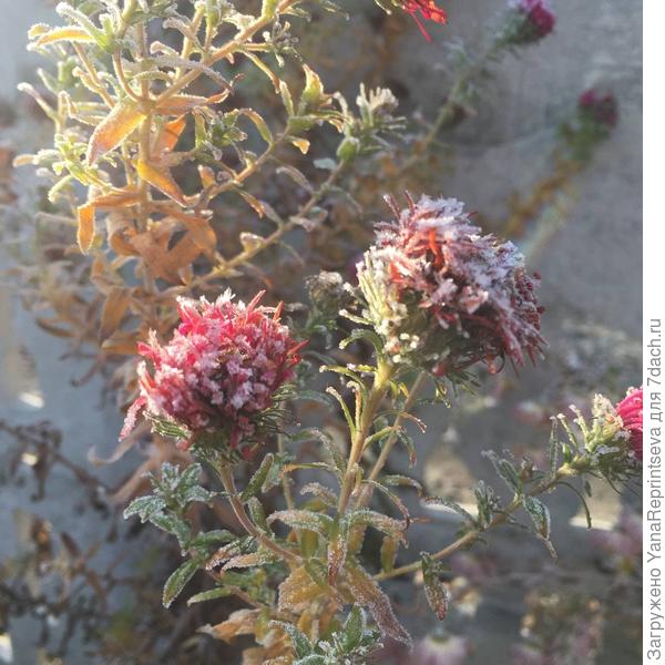 Яркие акценты ноября