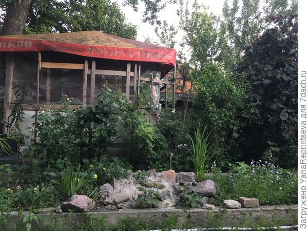 Наша беседка под вековой грушей